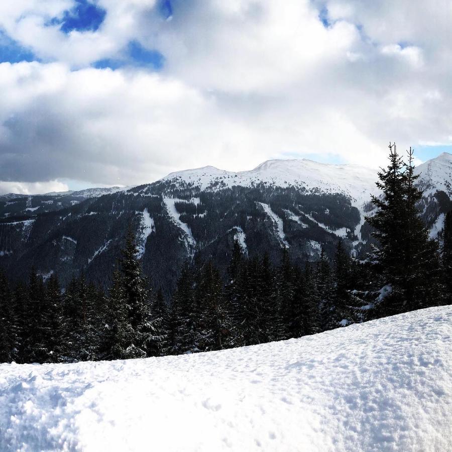 Simal Alm Mini-hôtel Saalbach-Hinterglemm